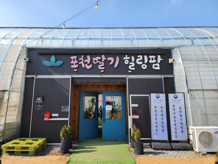 포천딸기힐링팜 썸네일