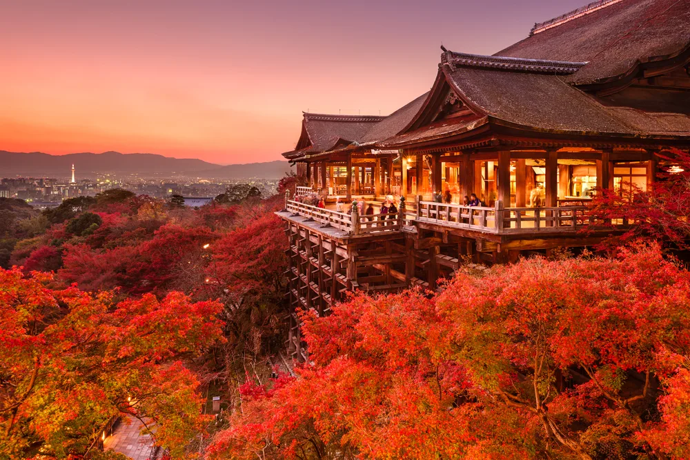 일본 단풍 시즌